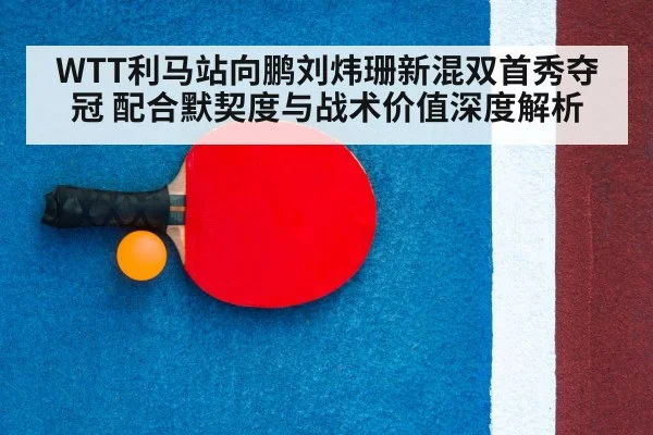 table tennis racket